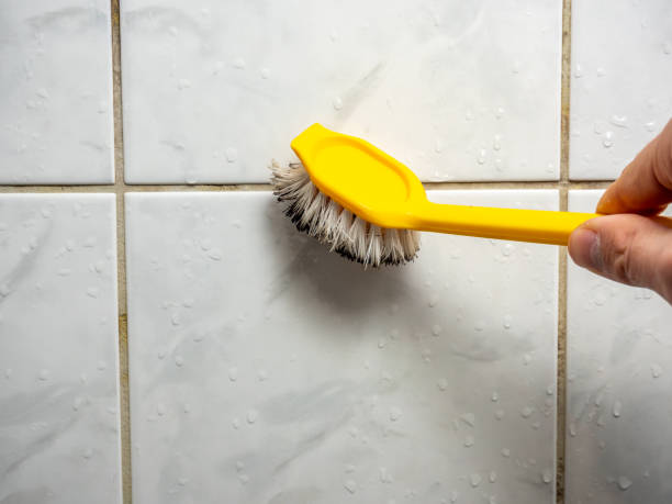 Best Toxic Mold Removal  in Turlock, CA