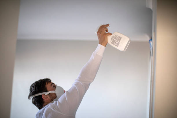 Best Commercial Mold Removal  in Turlock, CA