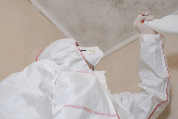Best Crawl Space Mold Removal  in Turlock, CA