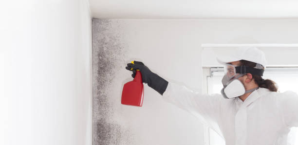 Best Crawl Space Mold Removal  in Turlock, CA