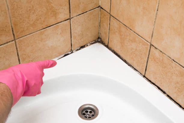 Best Mold Remediation Services  in Turlock, CA